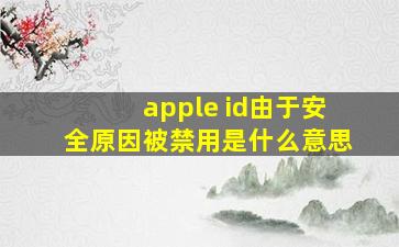 apple id由于安全原因被禁用是什么意思